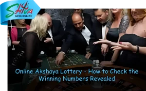 Shiva King Online – Trusted lottery results and lucky number draws at shivakingonline.in