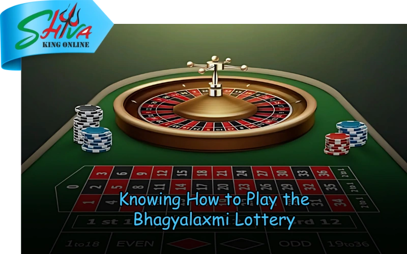 Shiva King Online – Trusted lottery results and lucky number draws at shivakingonline.in