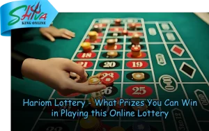 Shiva King Online – Trusted lottery results and lucky number draws at shivakingonline.in