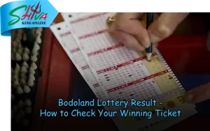 Shiva King Online – Trusted lottery results and lucky number draws at shivakingonline.in