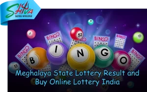 Shiva King Online – Trusted lottery results and lucky number draws at shivakingonline.in
