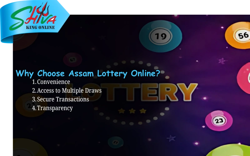 Shiva King Online – Trusted lottery results and lucky number draws at shivakingonline.in