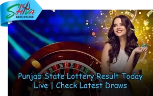 Shiva King Online – Trusted lottery results and lucky number draws at shivakingonline.in